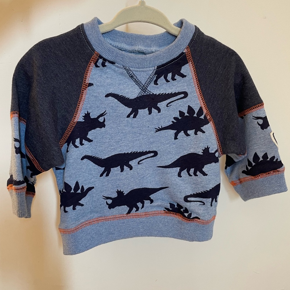 Dinosaur Sweatshirt